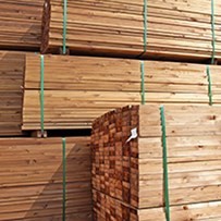 timber-packs-strapped-with-fromm-pet.jpg (1)