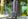 cans-strapped-with-fromm-pet-strap1.jpg